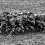 _DSC5029